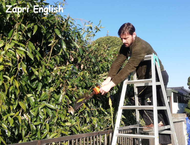 IMG_20200325_162215-1